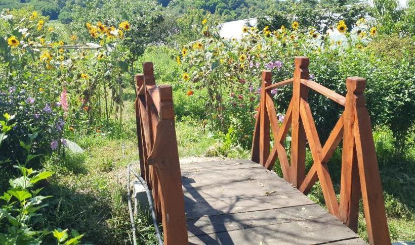 צימר Balla House