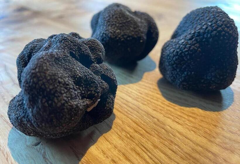 צימר Le Volcan Des Sens, Chambres D Hotes De Luxe Et Spa