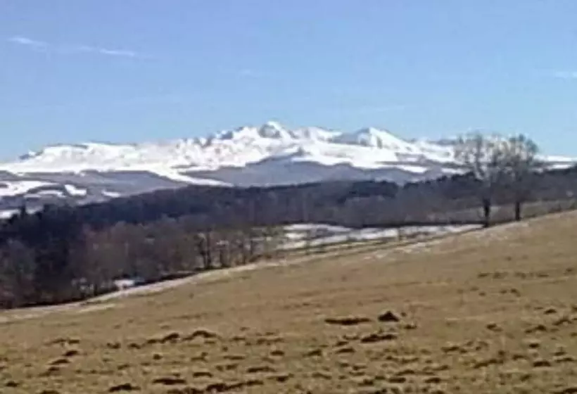 Hotelli Hôtel Des Voyageurs