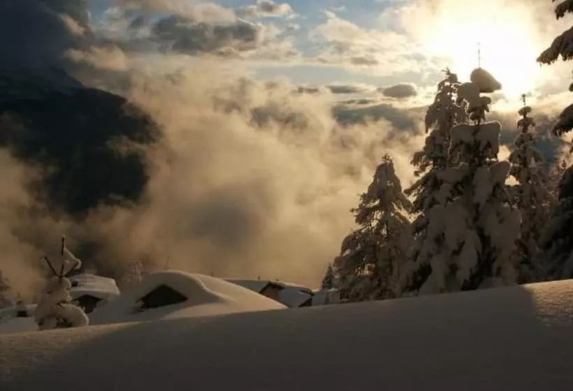 Hotelli Hôtel Des Voyageurs