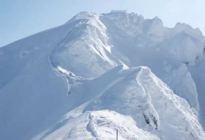 Hotelli Hôtel Des Voyageurs