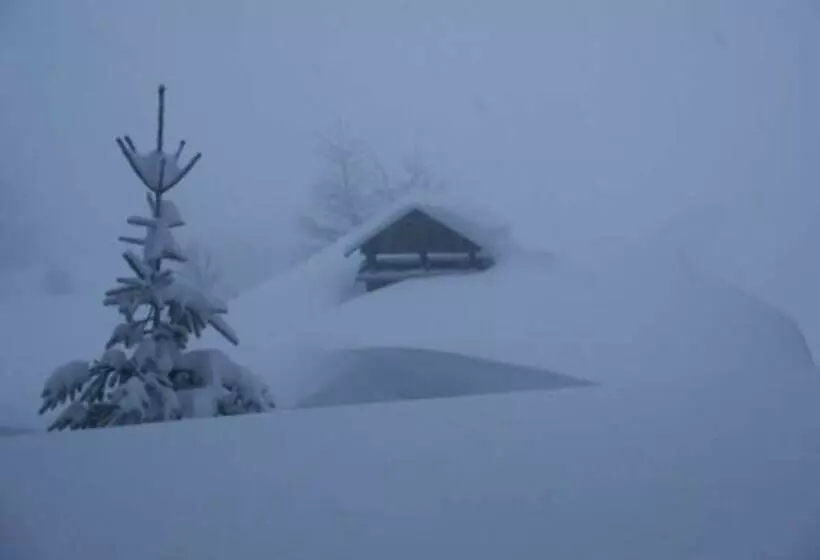 Hotelli Hôtel Des Voyageurs