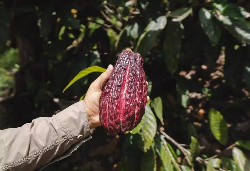 ホテル Piripe Wellness Lodge