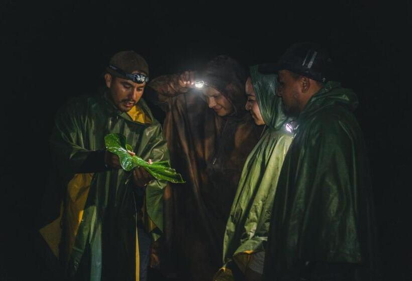 בית מלון כפרי Piripe Wellness Lodge