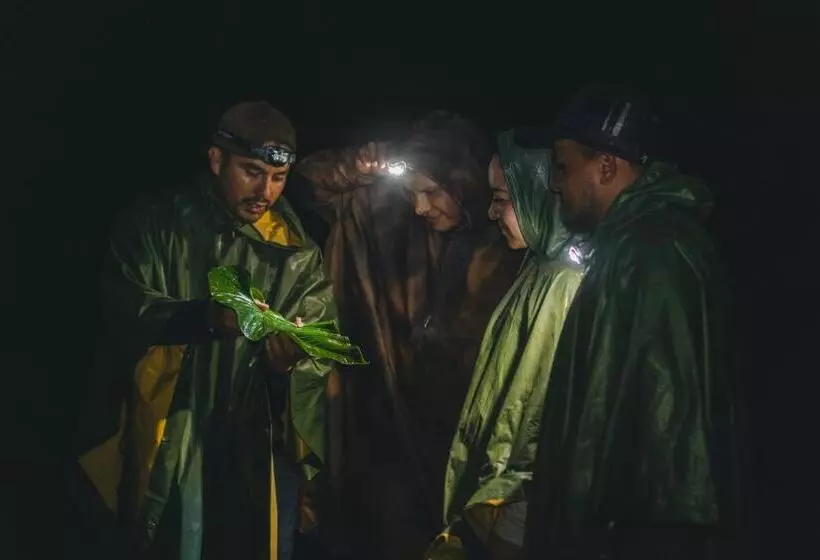 ホテル Piripe Wellness Lodge