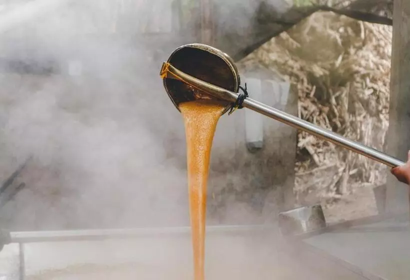 ホテル Piripe Wellness Lodge