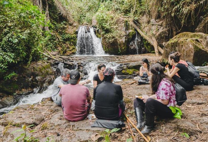 בית מלון כפרי Piripe Wellness Lodge