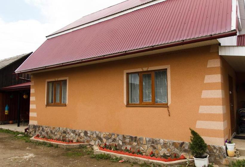 膳宿费 карпатське сяйво