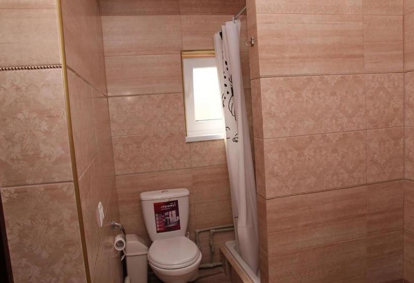 膳宿费 карпатське сяйво