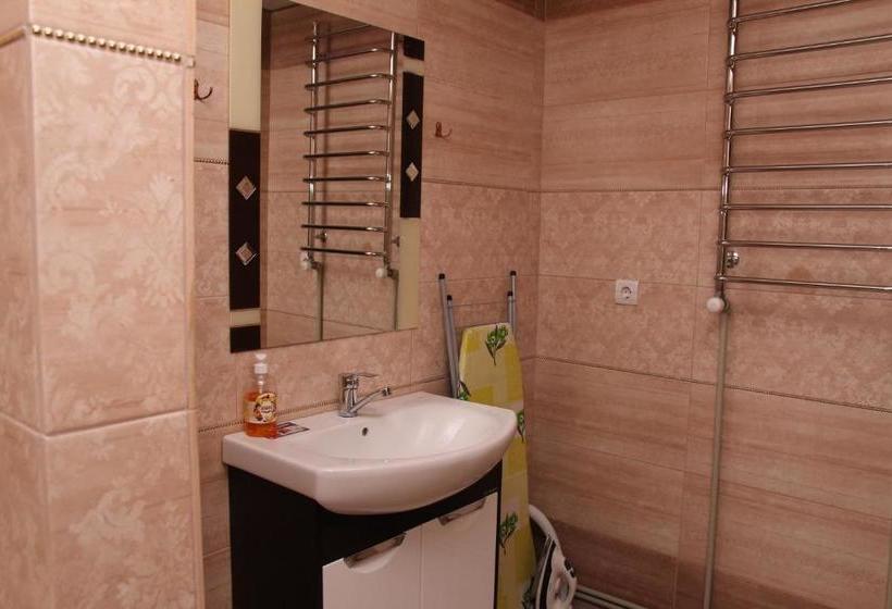 膳宿费 карпатське сяйво