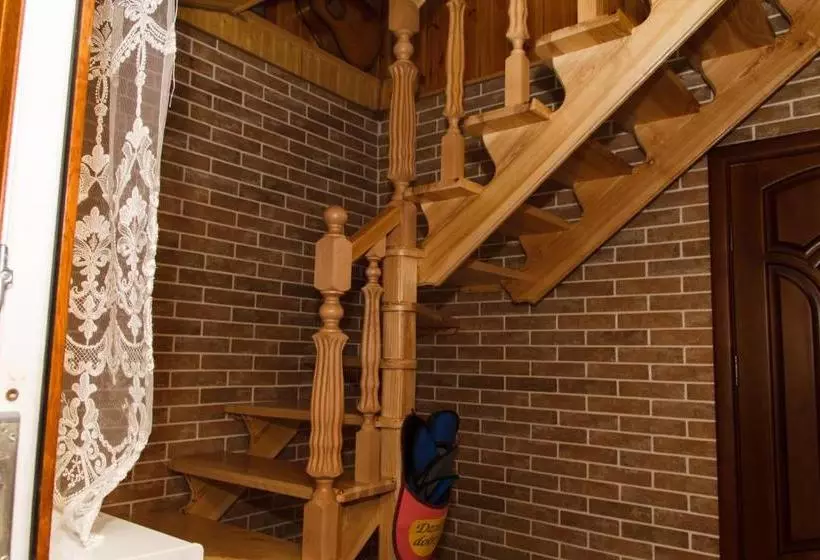 Majatalo карпатське сяйво