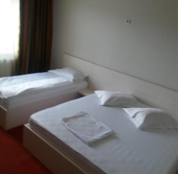 펜션 Casa Budisteanu