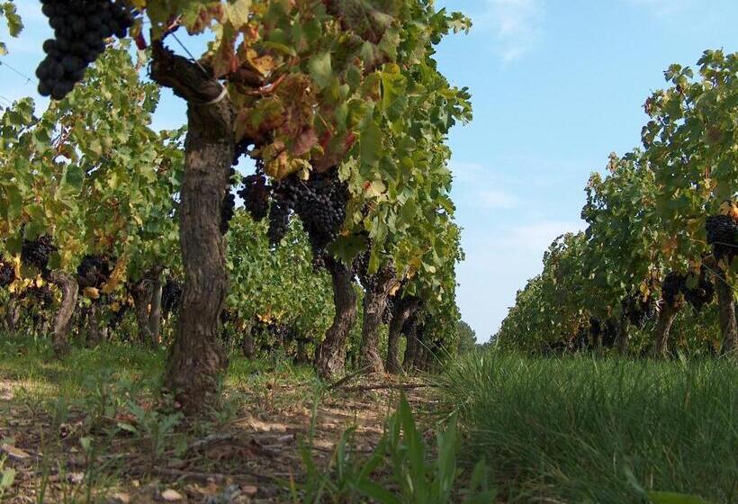 Пансион Galot La Chapelle