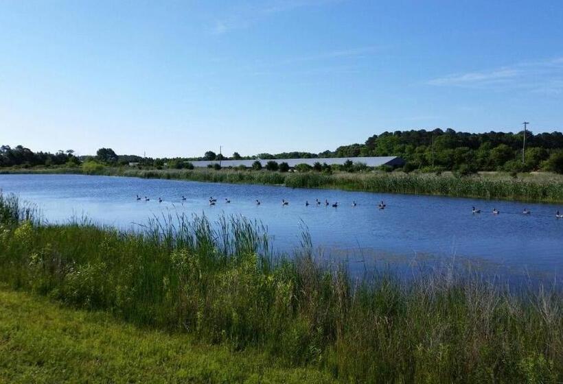 بنسيون La Mos Pavel