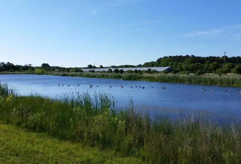 پانسیون La Mos Pavel