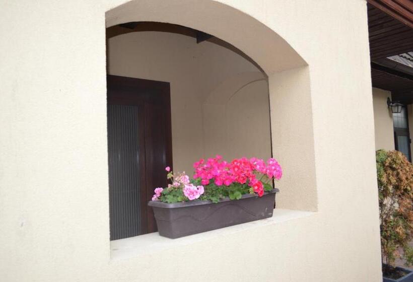 بنسيون La Mos Pavel