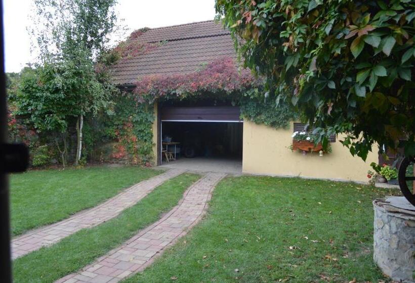 بنسيون La Mos Pavel