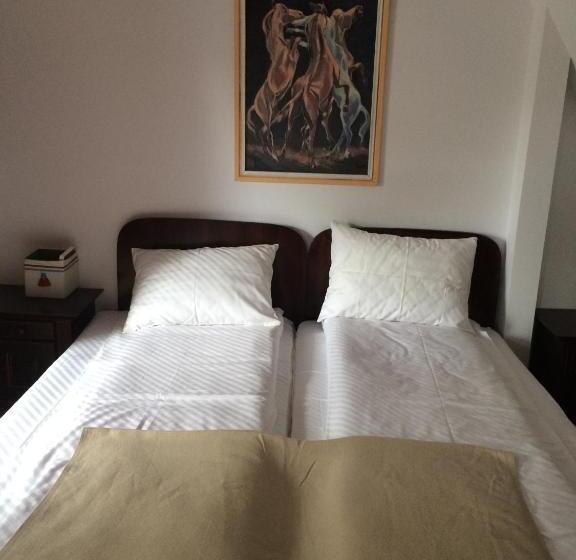 بنسيون La Mos Pavel