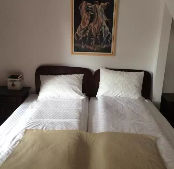 پانسیون La Mos Pavel