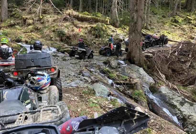 Pensiunea Montana Muntele Mic