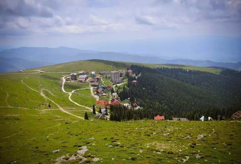 Pensiunea Montana Muntele Mic