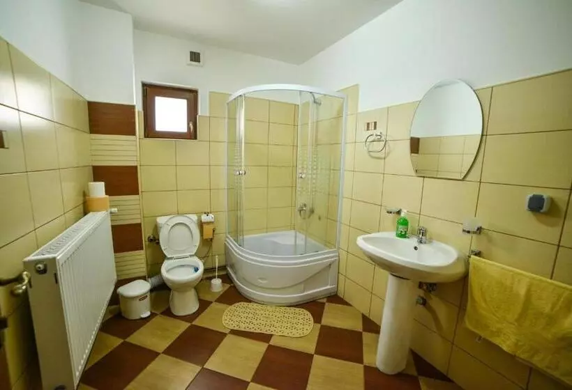 Pensiunea Montana Muntele Mic