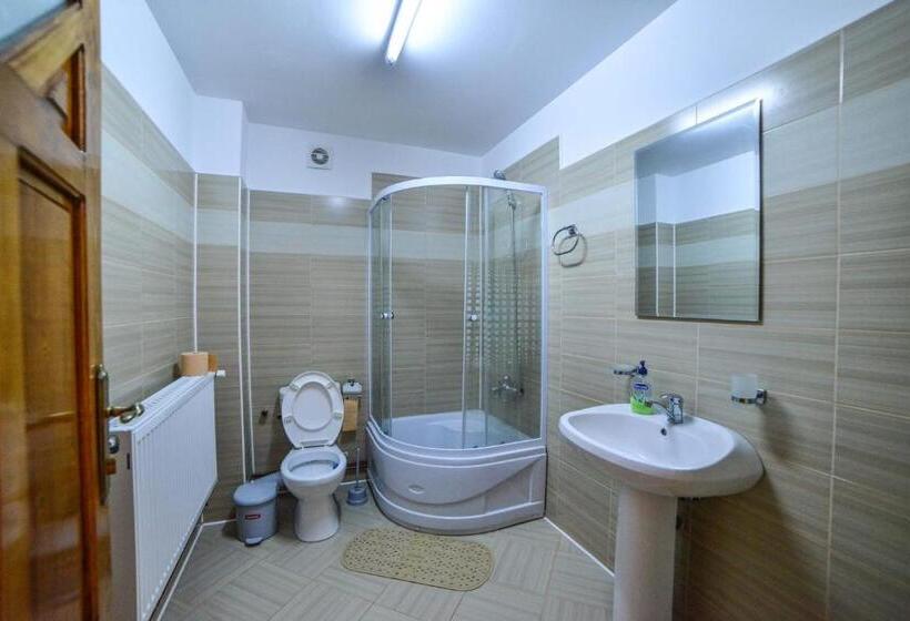 Pensiunea Montana Muntele Mic