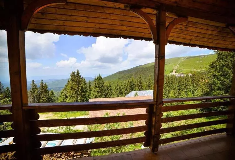 Pensiunea Montana Muntele Mic