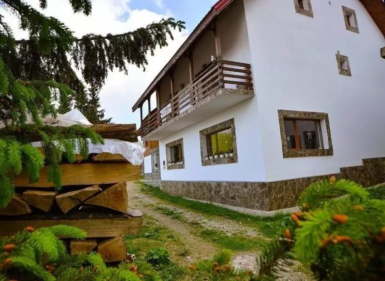 Pensiunea Montana Muntele Mic