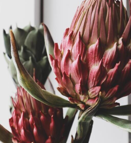 צימר Chambres D Hôtes Une Autre Maison