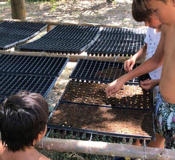 בית מלון כפרי Ankua Eco