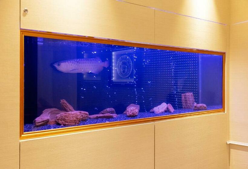 בית מלון כפרי Artia Izumiotsu