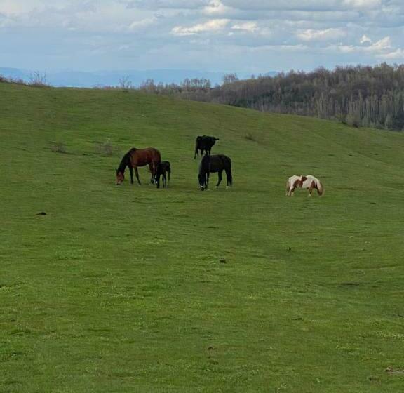 호텔 Complex Merisoru De Munte
