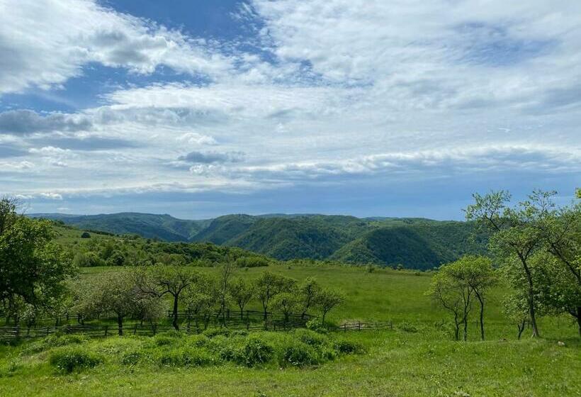 호텔 Complex Merisoru De Munte