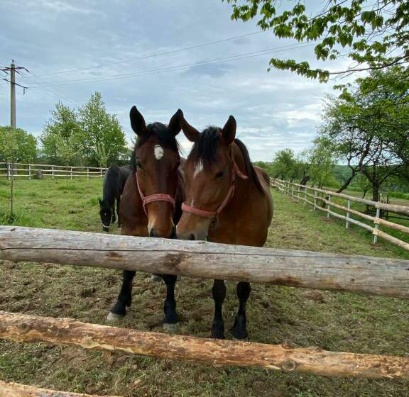 호텔 Complex Merisoru De Munte