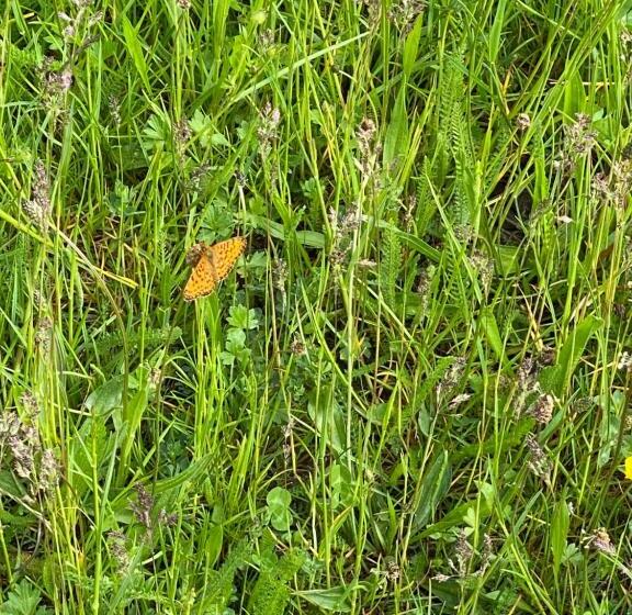 호텔 Complex Merisoru De Munte