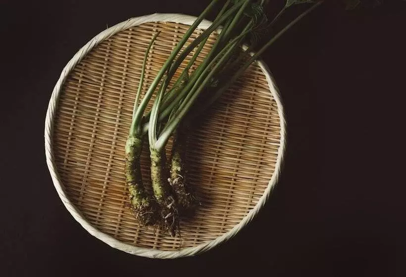 ホテル Nipponia Kosuge Village