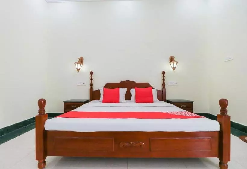 Hotelli Oyo 70038 The Heritage Palace