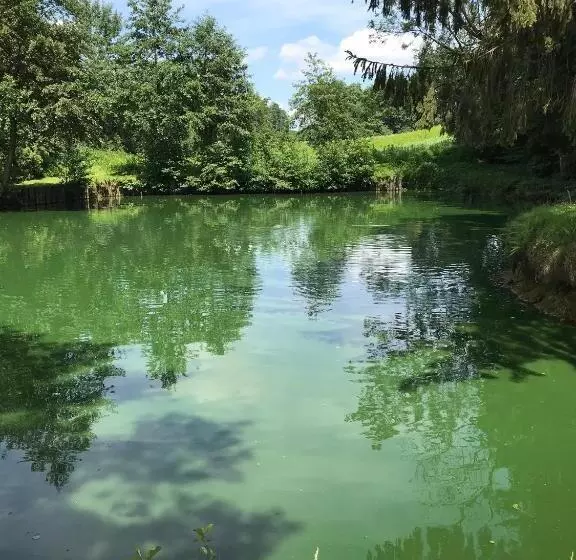 ホテル Restaurant Hesch