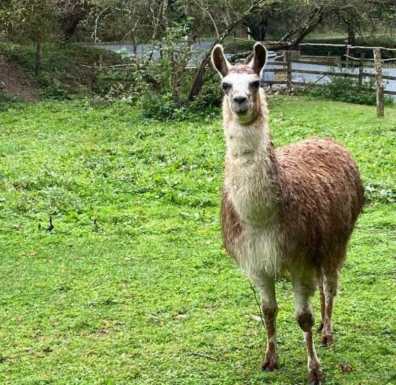 ペンション La Bastide D Albignac