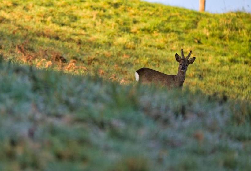 ペンション La Bastide D Albignac