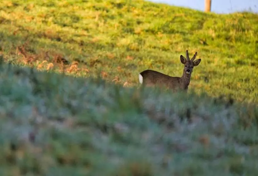 Majatalo La Bastide D Albignac