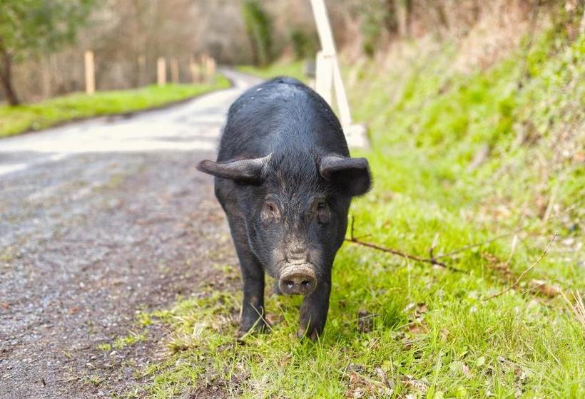 ペンション La Bastide D Albignac