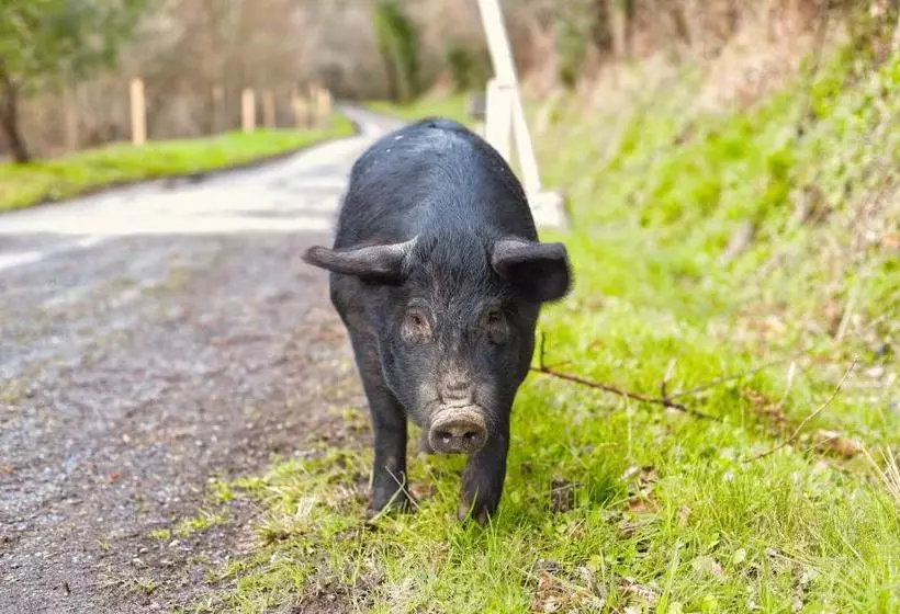 Majatalo La Bastide D Albignac
