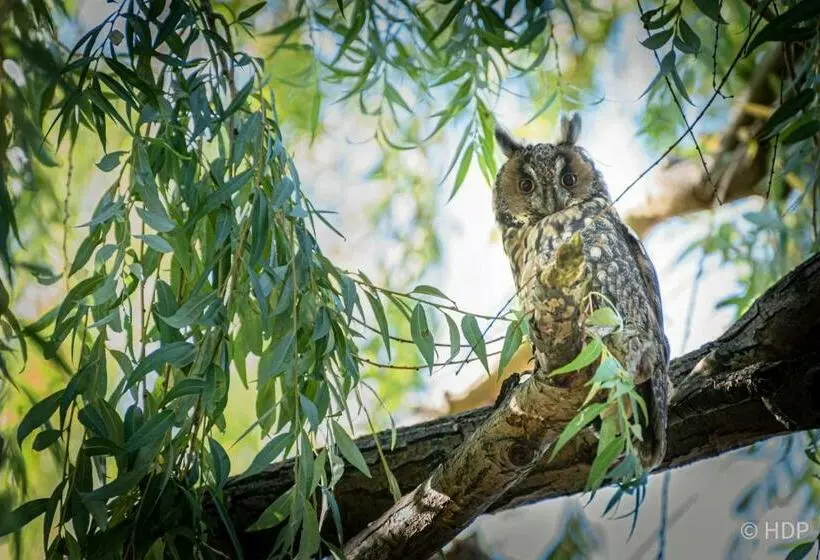 Pension Auf Der Tenne