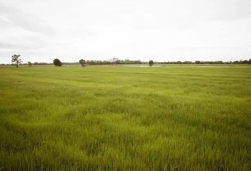 Lomakeskus วันสุขรีสอร์ทสุโขทัย