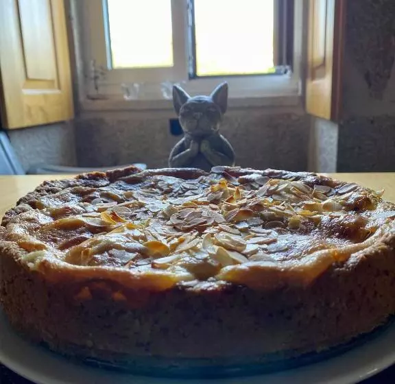 ベッドアンドブレックファースト Quinta Labruja