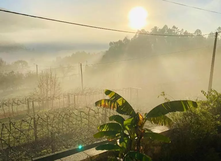 ベッドアンドブレックファースト Quinta Labruja