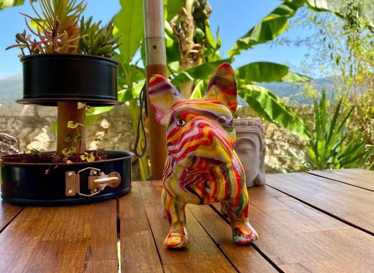 צימר Quinta Labruja