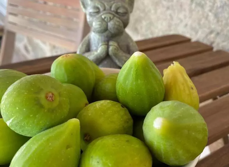 ベッドアンドブレックファースト Quinta Labruja